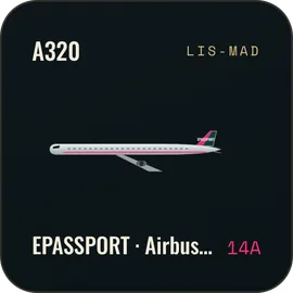 O widget da aeronave do ePassport